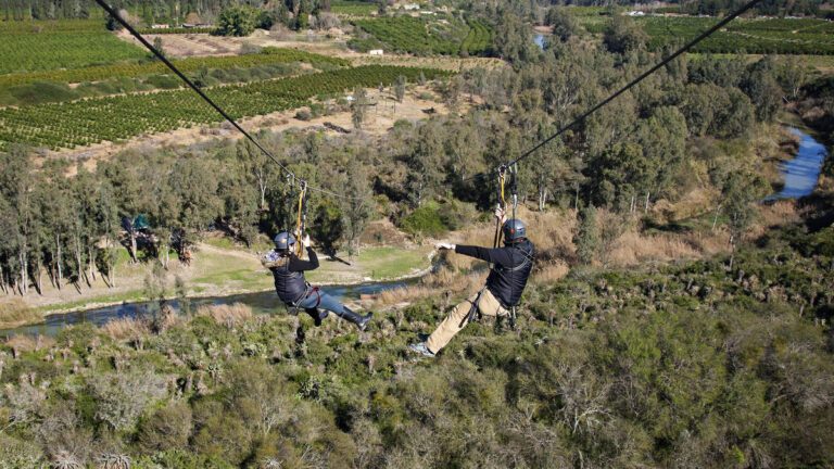 Adrenalin-Addo-Double-Zip-Line-Addo-Garden-Route-South-Africa-5
