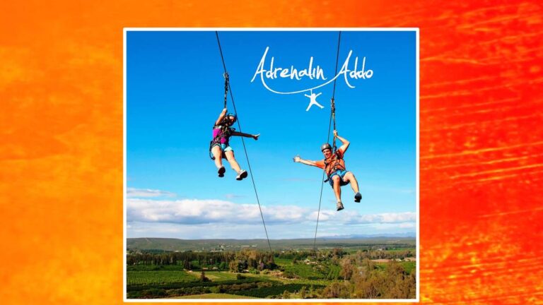 Adrenalin-Addo-Double-Zip-Line-Addo-Garden-Route-South-Africa
