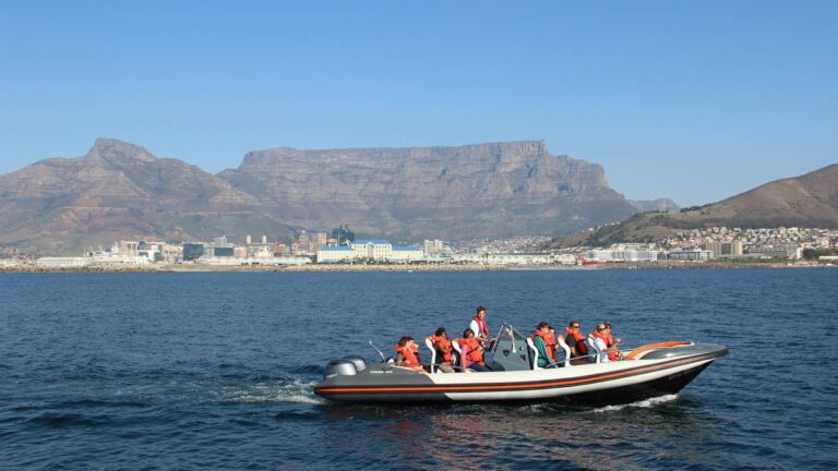 African-Eagle-Cape-Town-South-Africa-marine-tour-2-3