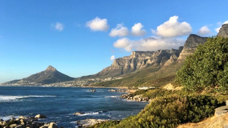 African-Eagle-Cape-Town-South-Africa-winelands