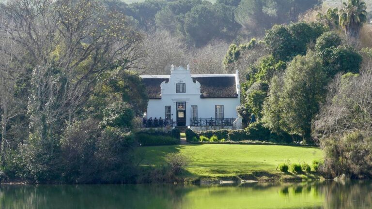 African-Eagle-Cape-Town-South-Africa-winelands-2