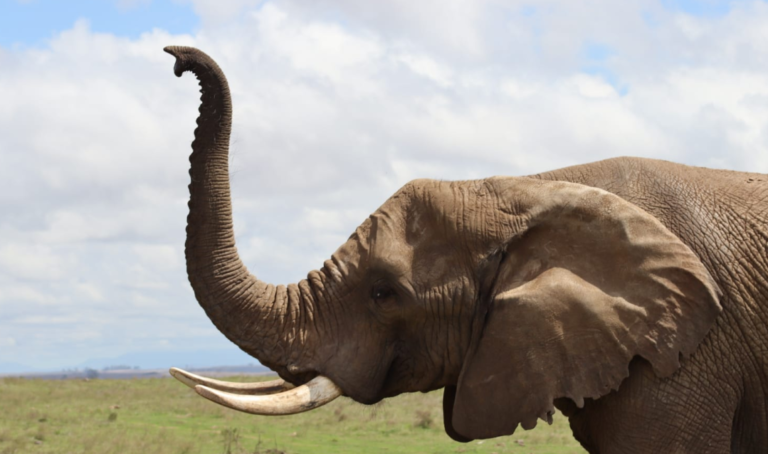 3-day-garden-route-tour-south-africa