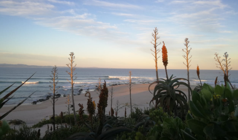 5-Day-Garden-Route-Tour-South-Africa