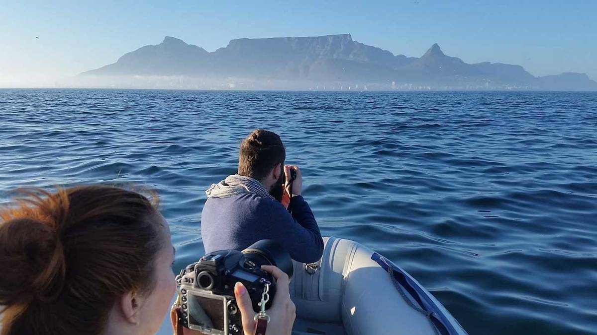 Ocean Wildlife In Waterfront, Cape Town