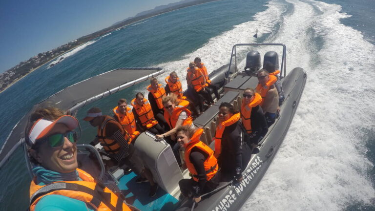 Offshore-Adventures-Seal-Viewing-in-Plettenberg-Bay-Garden-route-South-Africa-5