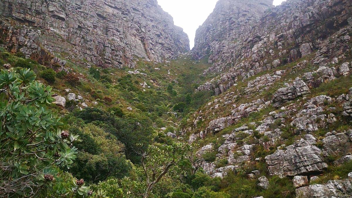 Table Mountain hike (via Platteklip)