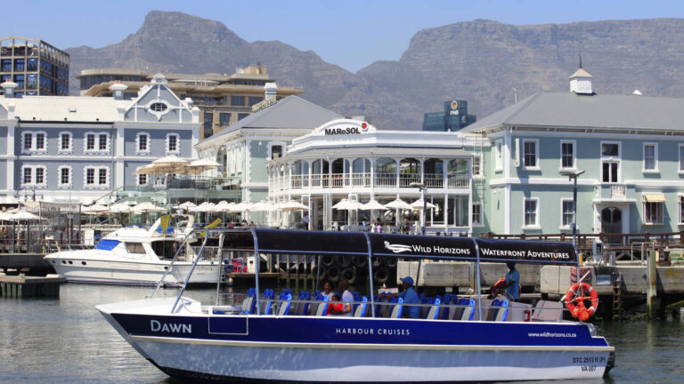Wild-Horizons-Waterfront-Adventures-Harbour-Cruise-Waterfront-Cape-Town-South-Africa