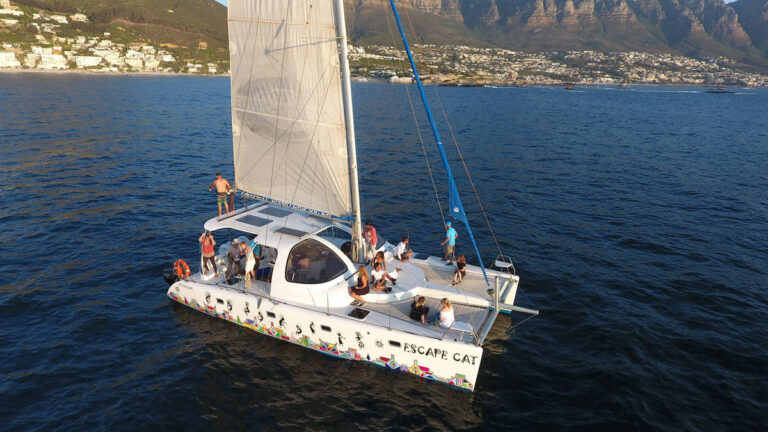 Wild-Horizons-Waterfront-Adventures-Sunset-Bay-sail-Escape-CatWaterfront-Cape-Town-South-Africa4
